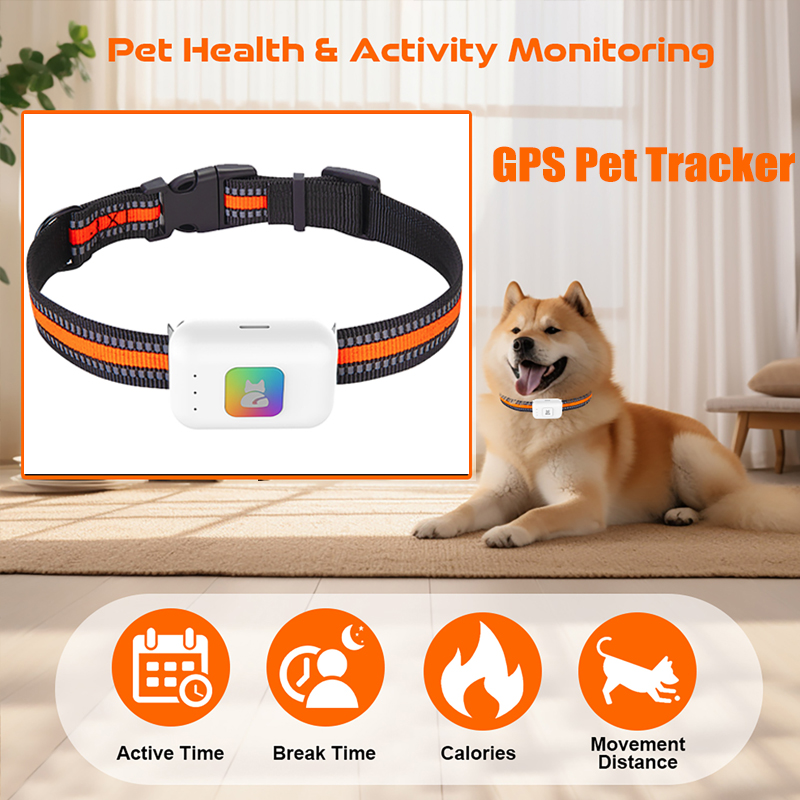 Pet Supplies Discount - Dispositif de suivi GPS AGPS pour
