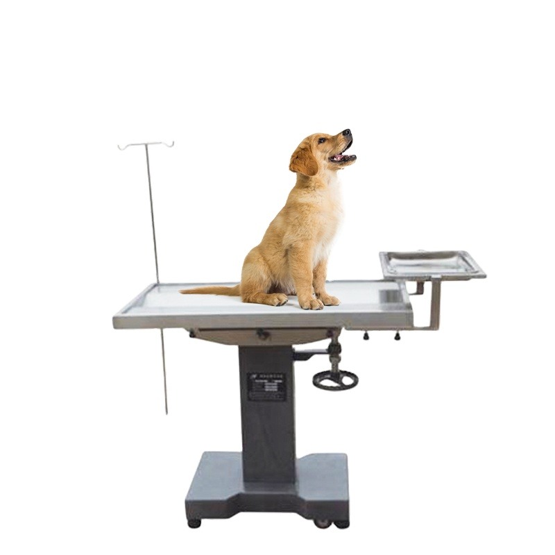 Pet Supplies Vet - Table d'opération médicale pour animaux de