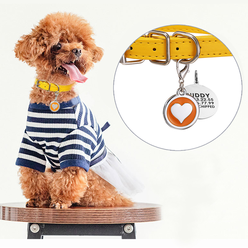 Pet Supplies Login - Collier en cuir pour chien et