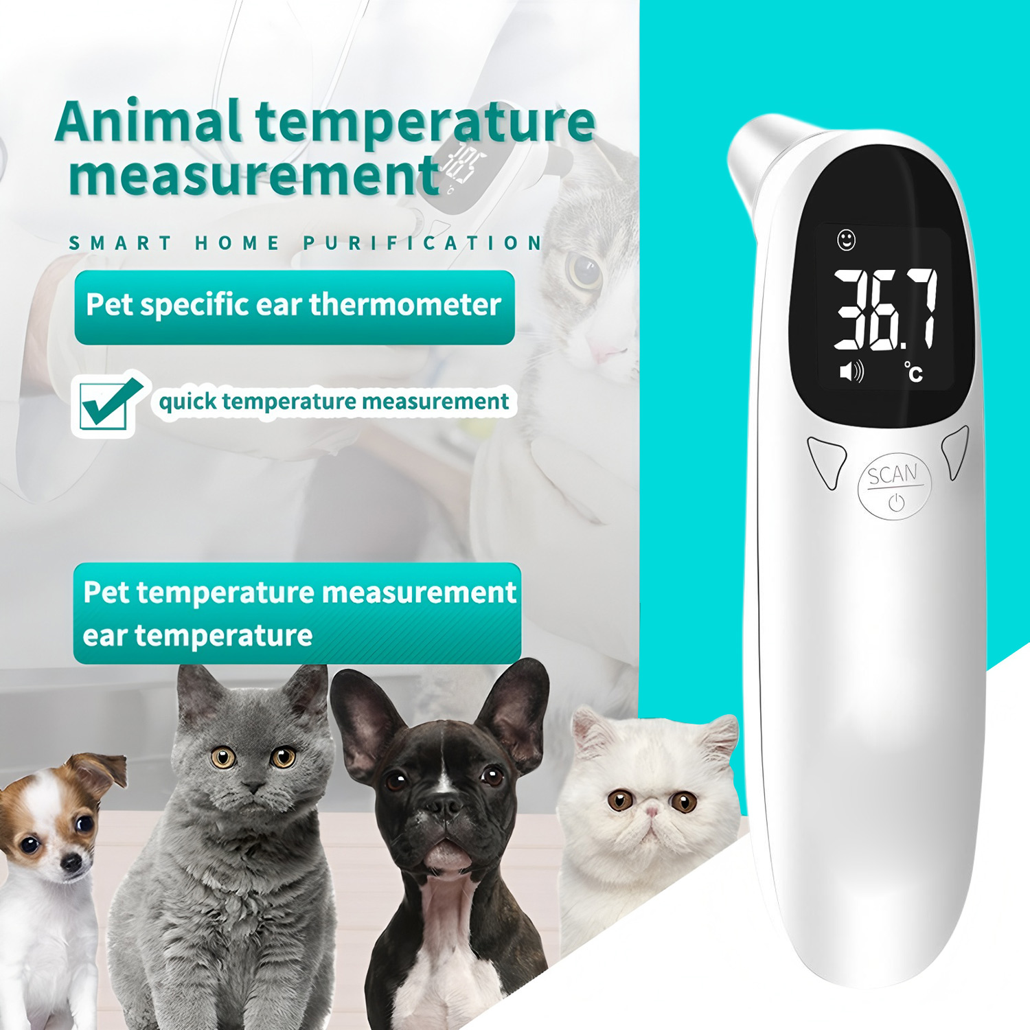 Pet Supplies Discount - Thermomètre numérique pour animaux de compagnie,