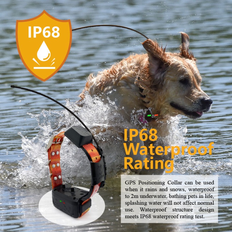 Pet Supplies Login - Gestionnaire de clôture GPS pour chien