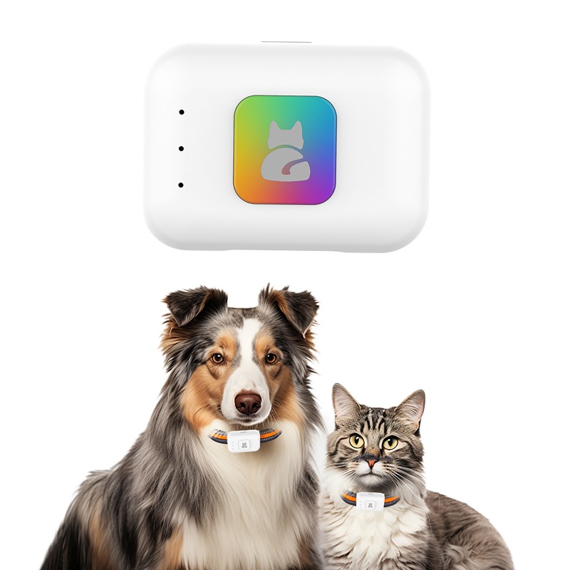 Dispositif de suivi GPS AGPS p - Pet Supplies Discount avis et prix
