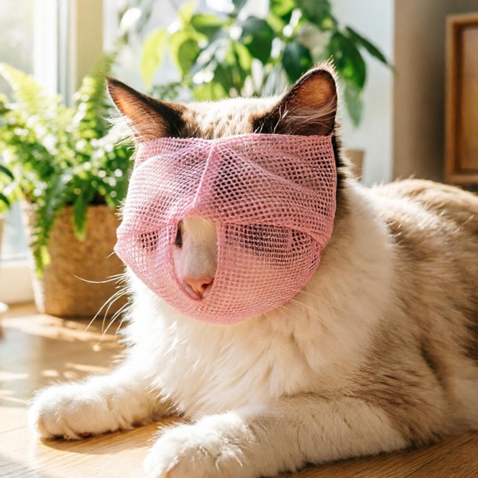 Muselière pour chat en maille  - Pet Supplies Vet avis et prix
