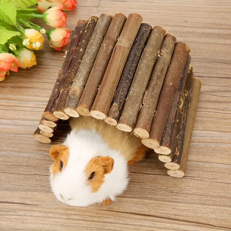 Branche de saule molaire pour  - Pet Supplies Login avis et prix