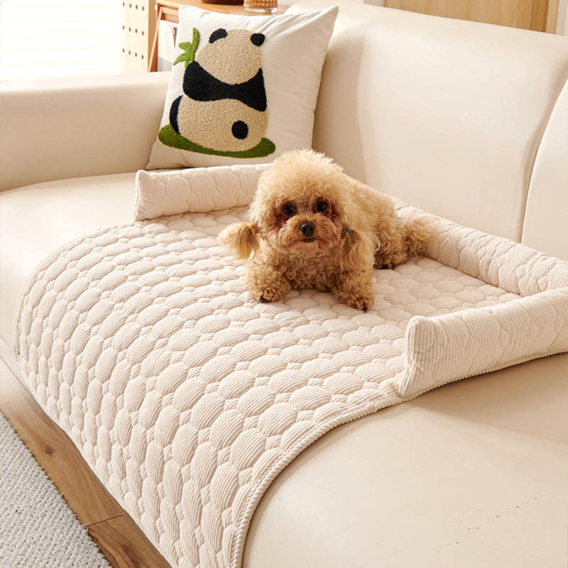Tapis populaires pour chats et - Pet Supplies Application avis et prix