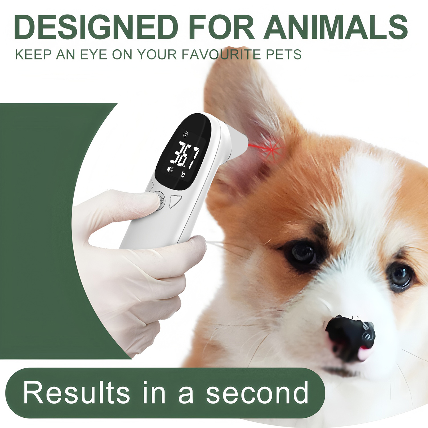 Thermomètre numérique pour ani - Pet Supplies Discount avis et prix