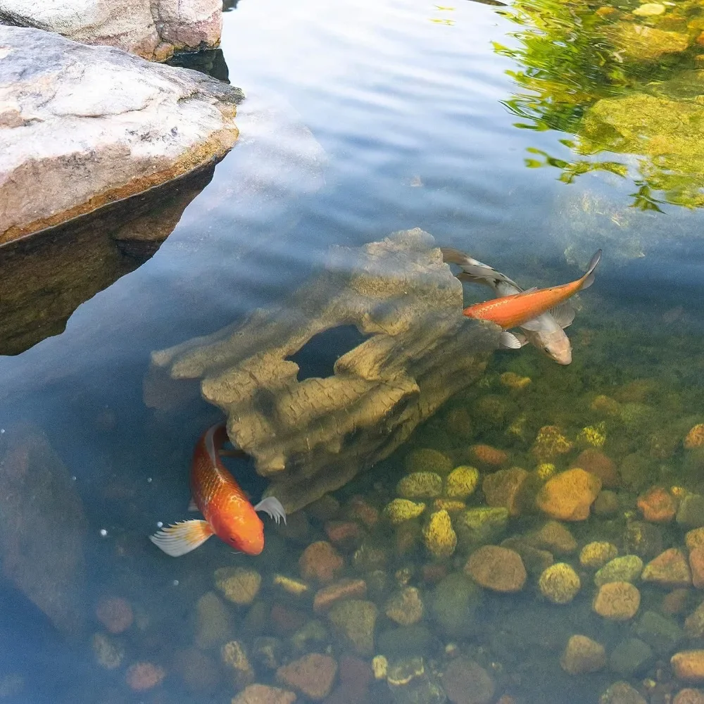 l contrôle des trous de poisso - Pet Supplies Login avis et prix