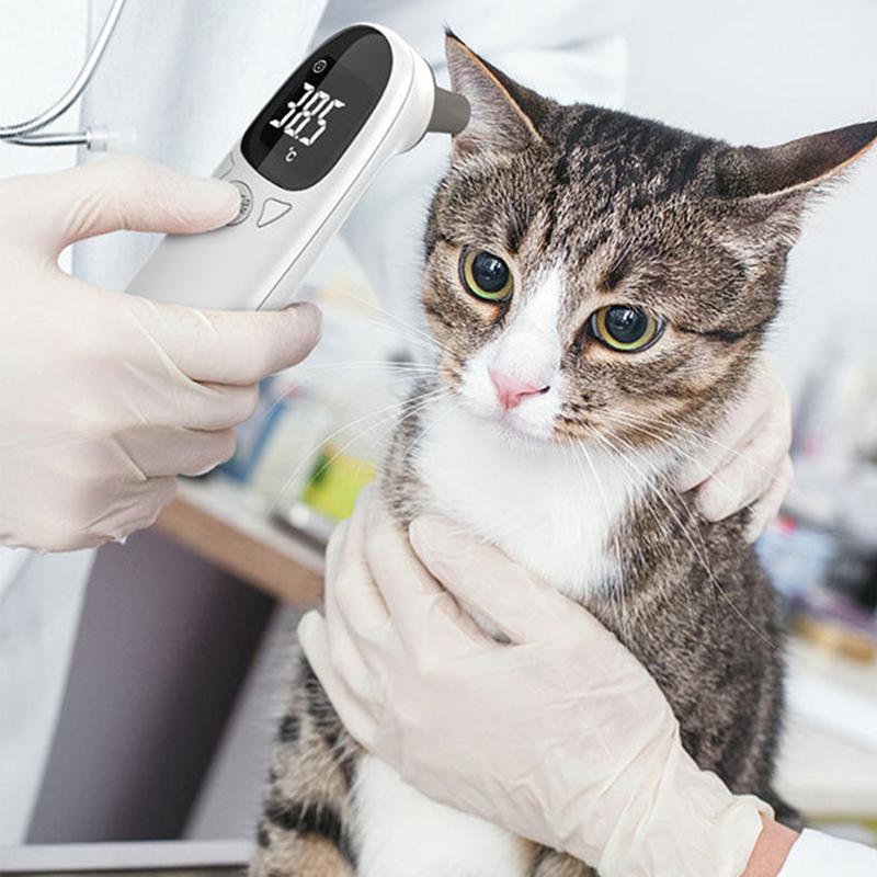 Thermomètres pour animaux de c - Pet Supplies Vet avis et prix