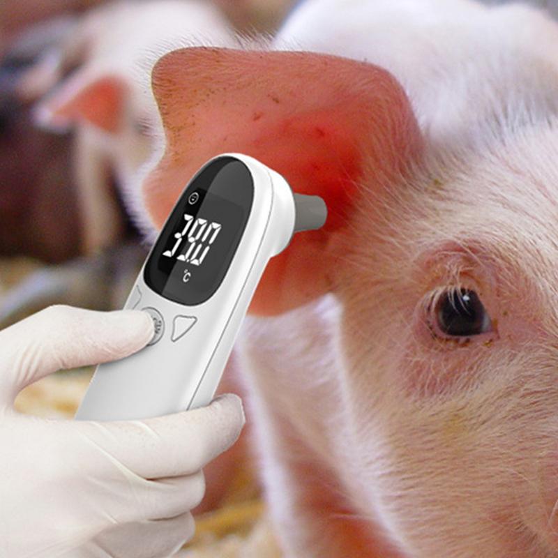 Thermomètres pour animaux de c - Pet Supplies Vet avis et prix