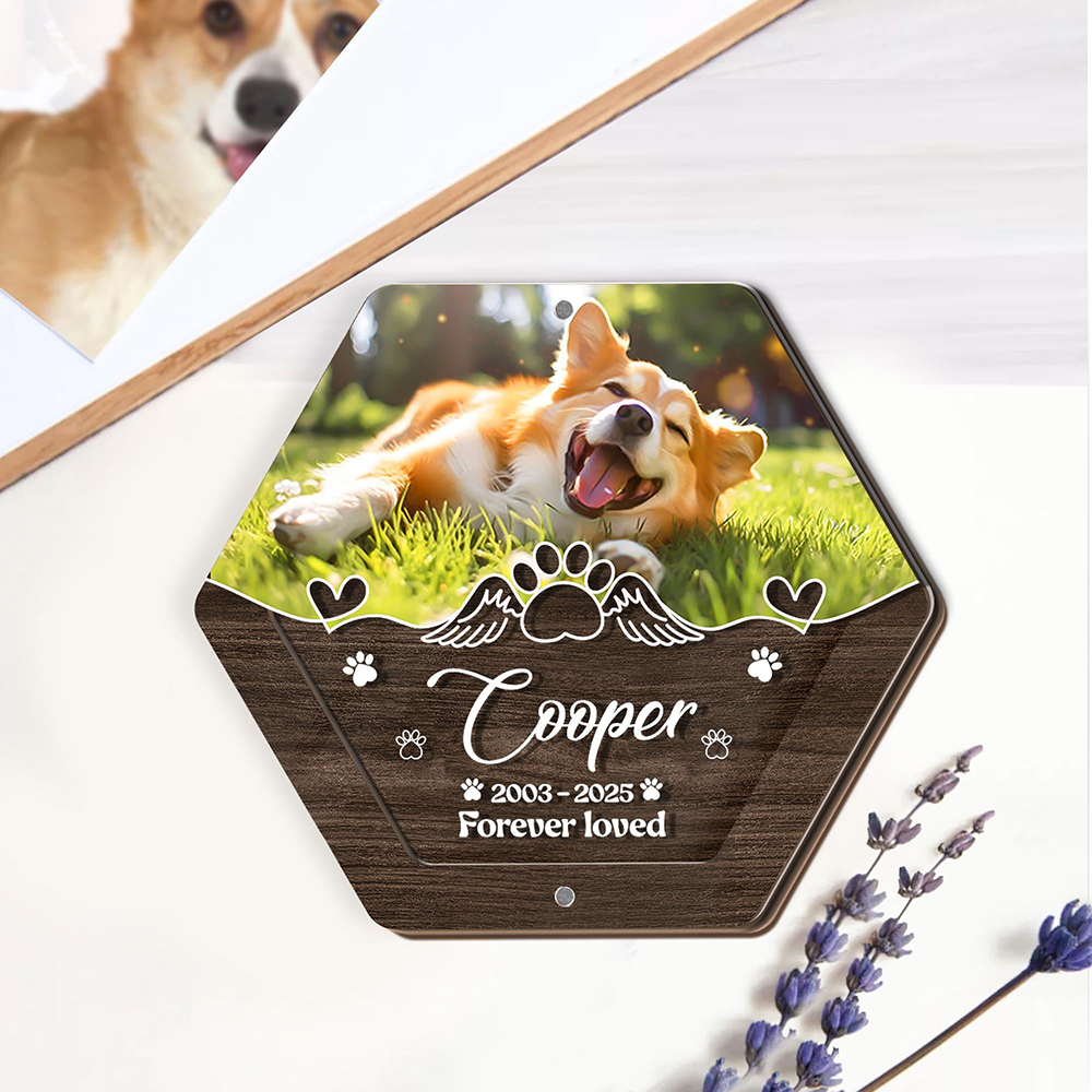 Boîte de rangement de cheveux  - Pet Supplies Discount avis et prix