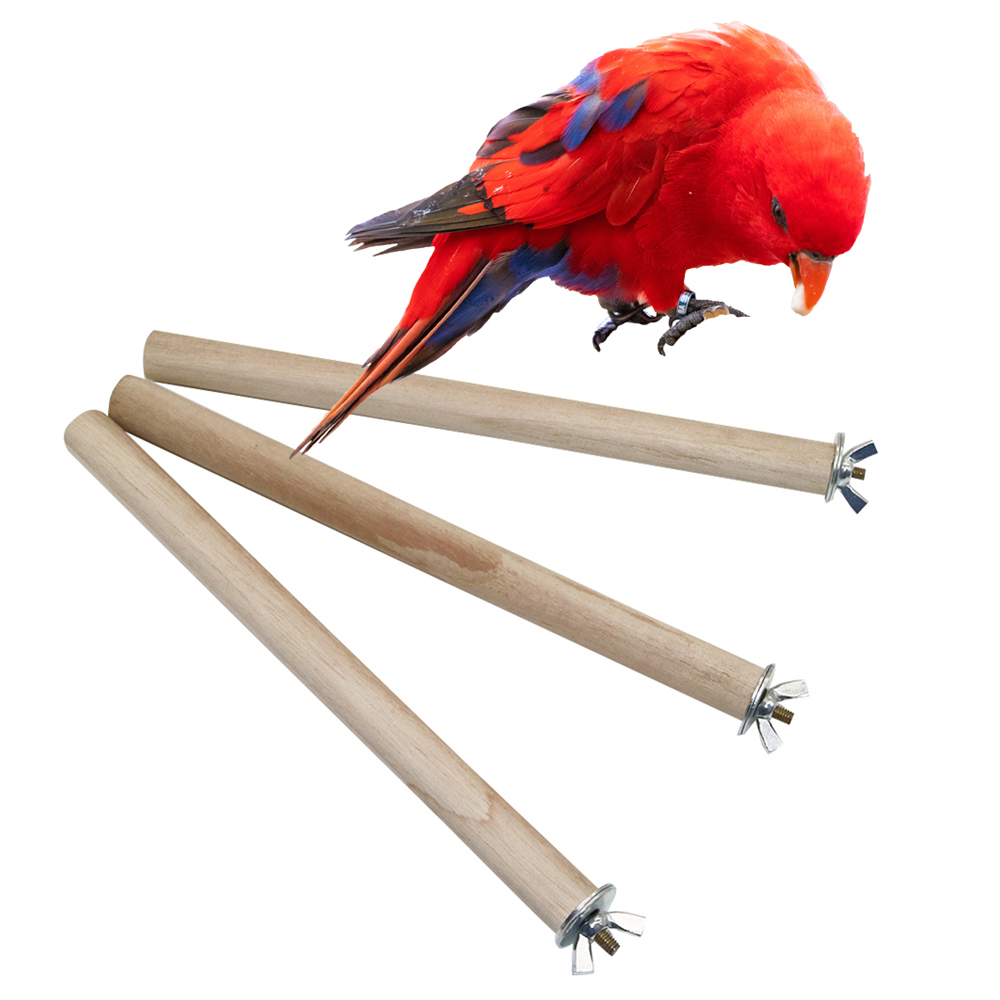 Cintre pour oiseaux de compagn - Pet Supplies Login avis et prix