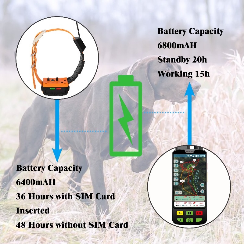 Traceur GPS pour la santé cani - Pet Supplies Login avis et prix