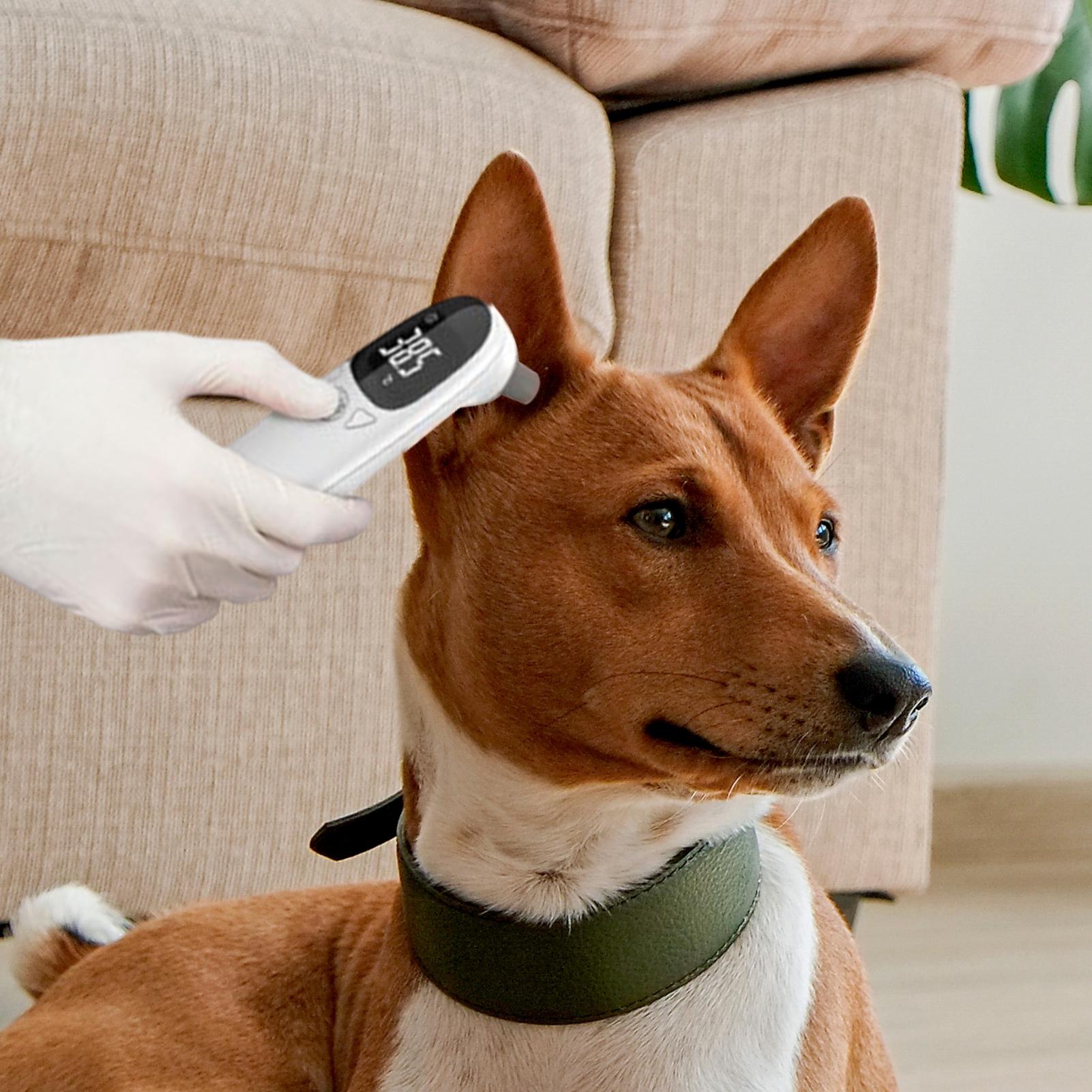 Thermomètre auriculaire pour c - Pet Supplies Vet avis et prix