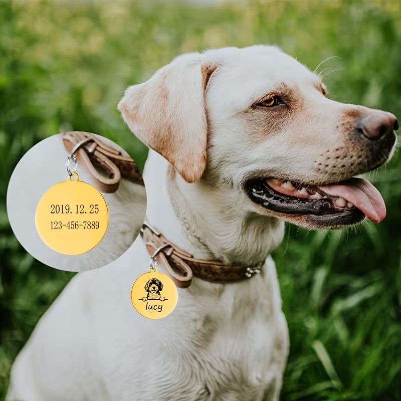 Colliers anti-perte personnali - Pet Supplies Discount avis et prix