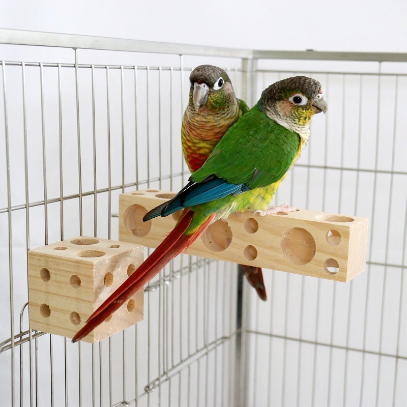 Poussures de perroquet en bois - Pet Supplies Login avis et prix